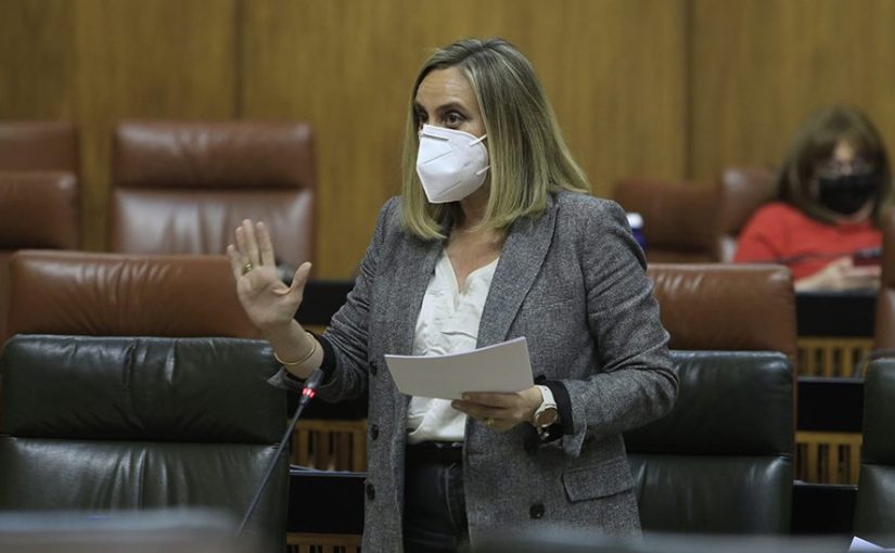 La Junta de Andalucía inició más de un millar de expedientes contra construcciones ilegales el pasado año