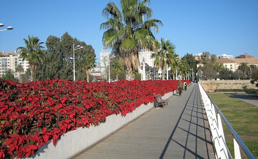 Valencia renovará integralmente el Puente de las Flores con criterios de adaptación climática